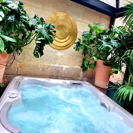Chambre Gaia Avec Jacuzzi Privatif A La Belle Endormie & Spa Guest House Bordeaux