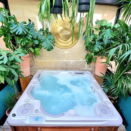 Chambre Gaia Avec Jacuzzi Privatif A La Belle Endormie & Spa Guest House