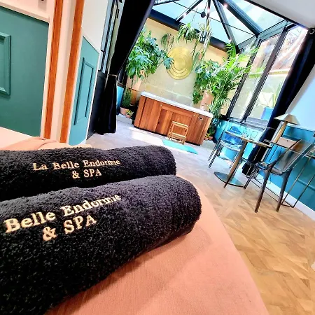 Chambre Gaia Avec Jacuzzi Privatif A La Belle Endormie & Spa Guest House * Bordeaux
