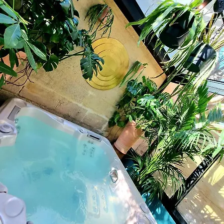 Chambre Gaia Avec Jacuzzi Privatif A La Belle Endormie & Spa Guest House *