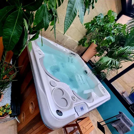 Chambre Gaia Avec Jacuzzi Privatif A La Belle Endormie & Spa Guest House Bordeaux