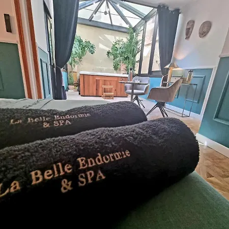 Chambre Gaia Avec Jacuzzi Privatif A La Belle Endormie & Spa Guest House